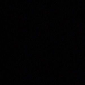 Meet your Posher, Ann